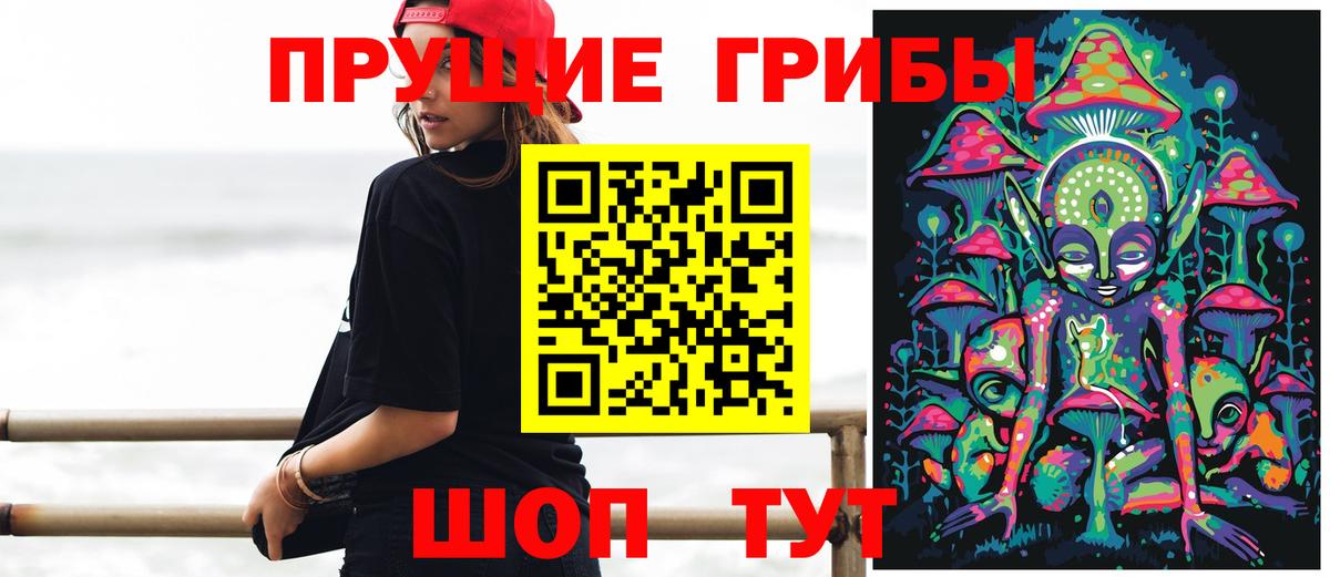 Псилоцибиновые грибы мухоморы Светлоград