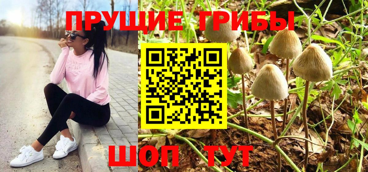 Светлоград  Псилоцибиновые грибы Magic Shrooms  Вход с VPN  Псилоцибиновые грибы прущие грибы 