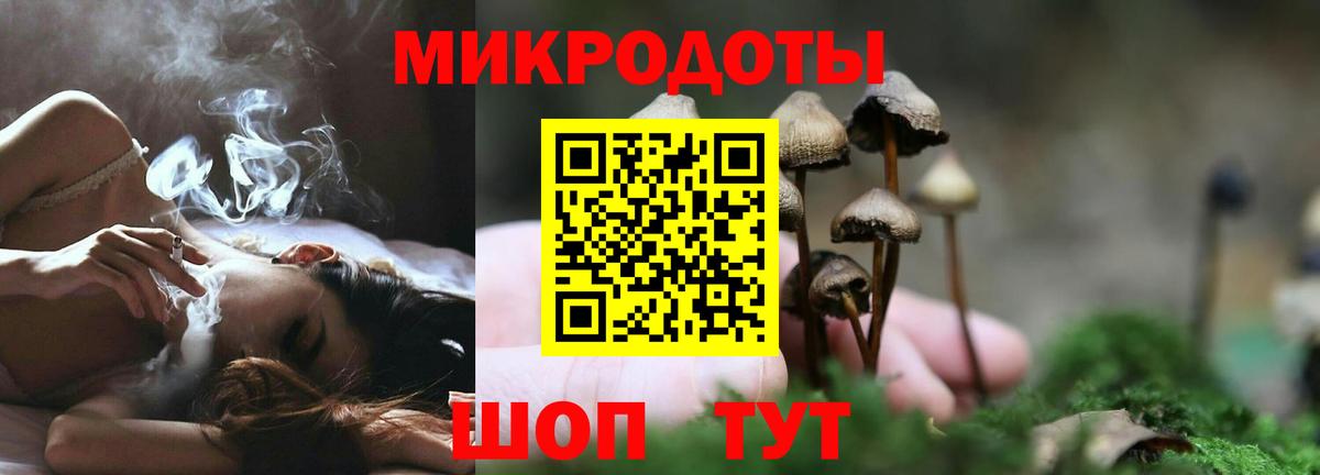 Псилоцибиновые грибы Psilocybine cubensis  Светлоград 